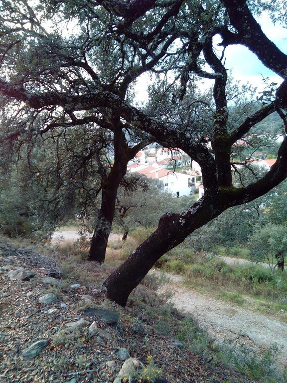 Montes Country house La Corte