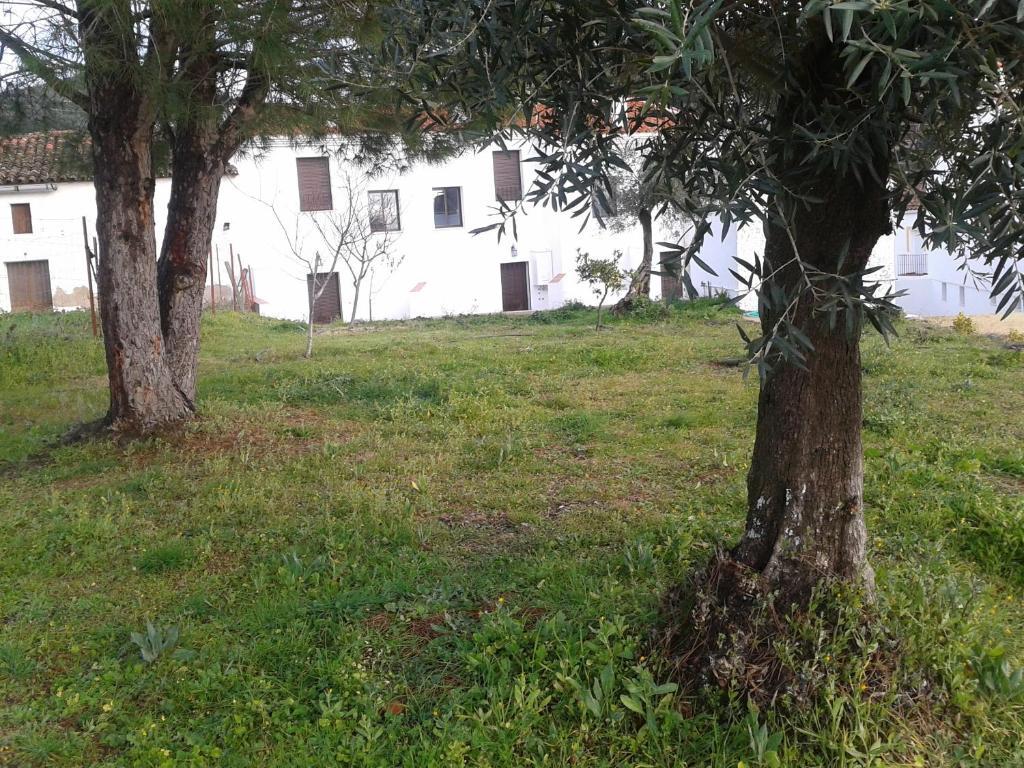 Montes