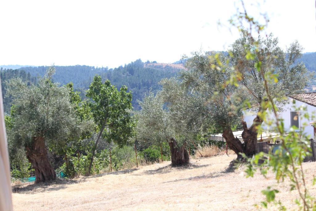 Montes Country house La Corte