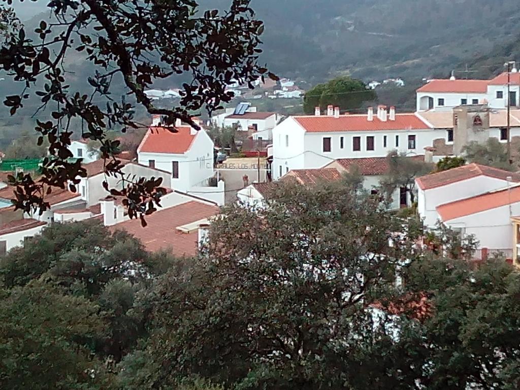 Country house Montes *