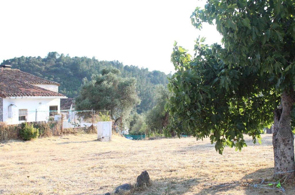 Country house Montes *